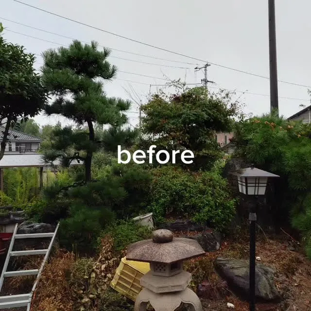 #【新居浜市 剪定】 秋の剪定風景before after